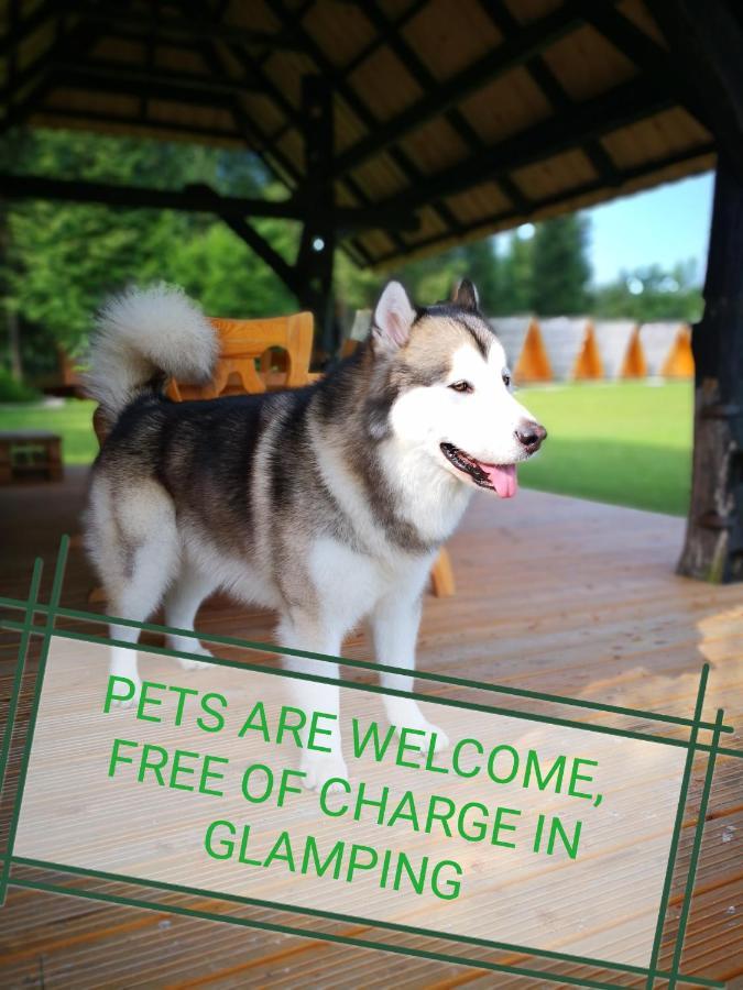 Glamping Forest Edge Камнік Екстер'єр фото