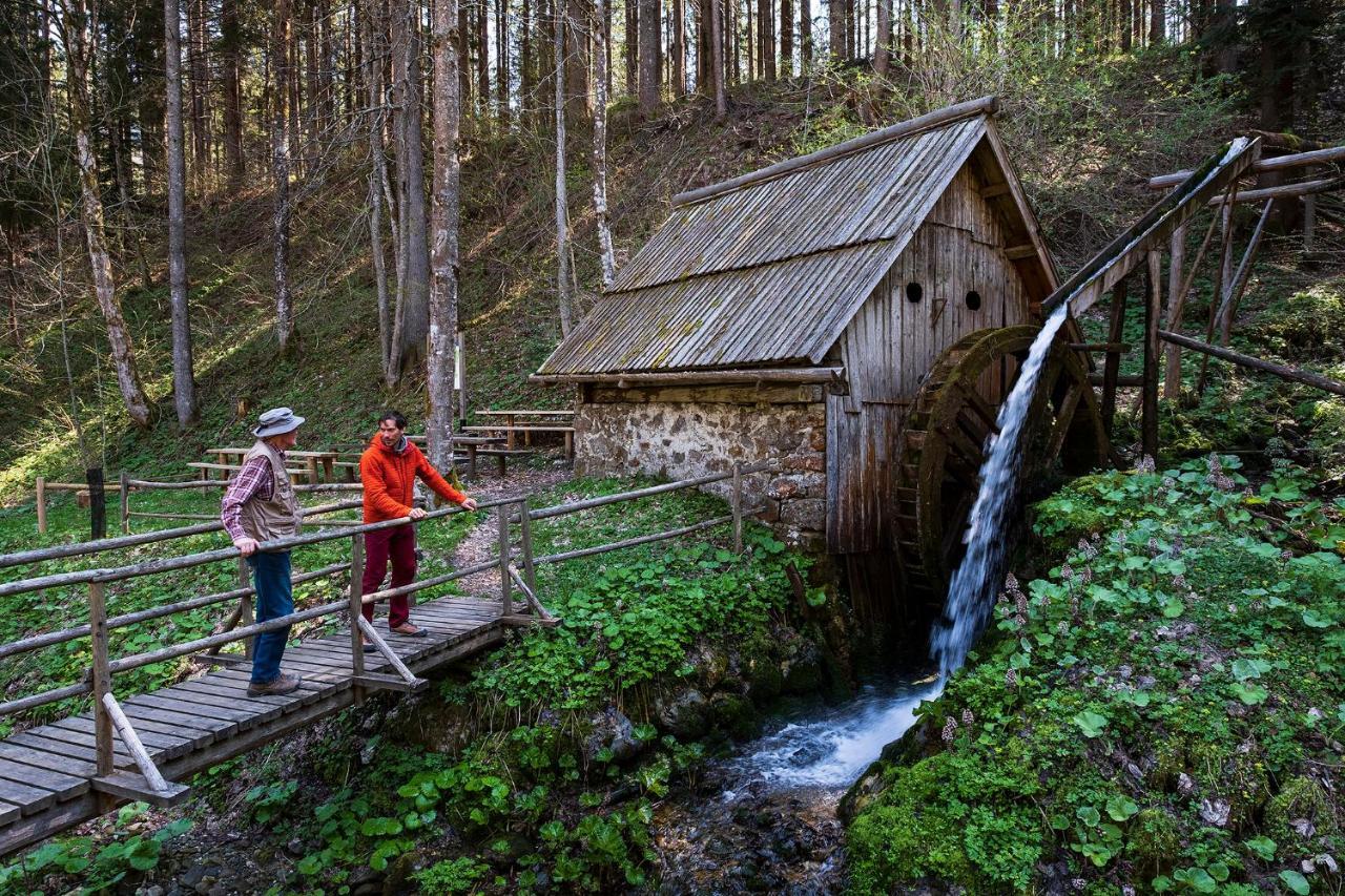 Glamping Forest Edge Камнік Екстер'єр фото